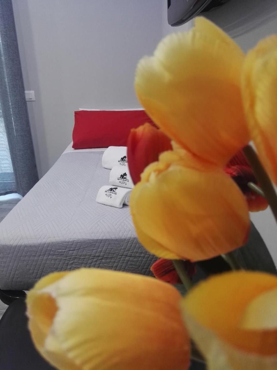 B&B Da Lillo Frosinone Zewnętrze zdjęcie